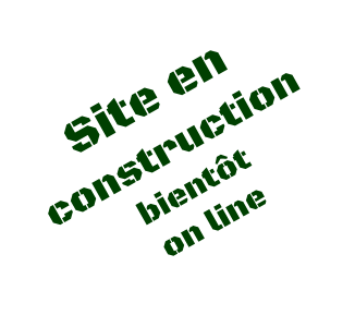 Site en constructionbientt on line
